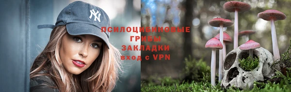 дурь Алексеевка