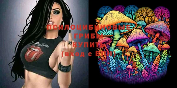 дурь Алексеевка