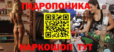 шишки Краснокаменск