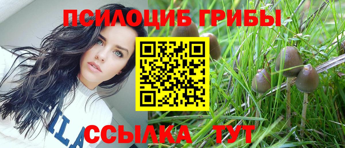Псилоцибиновые грибы MAGIC MUSHROOMS Десногорск