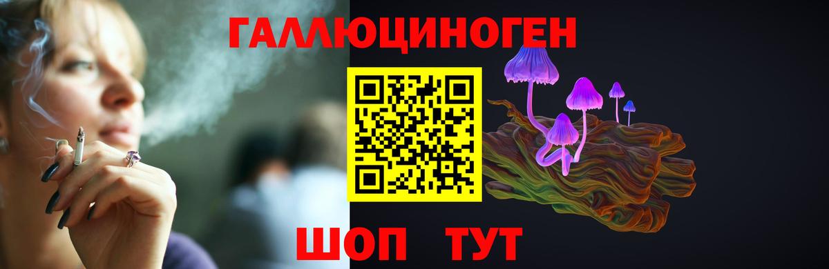 Галлюциногенные грибы MAGIC MUSHROOMS  Вход с VPN  Десногорск 