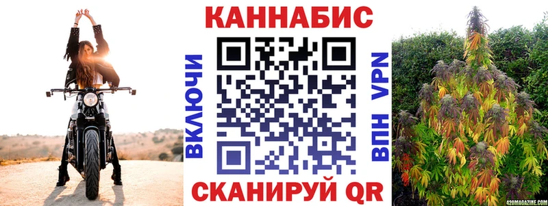 закладка  Десногорск  Конопля индика 